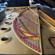 1974 Steinway Model D concert grand piano - Grand Pianos